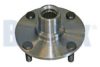 NISSA 402022F000 Wheel Hub